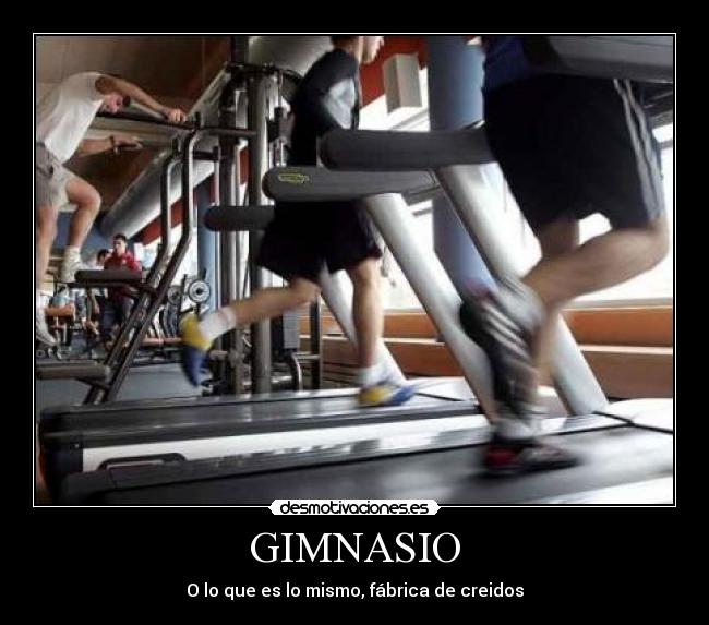 GIMNASIO - O lo que es lo mismo, fábrica de creidos