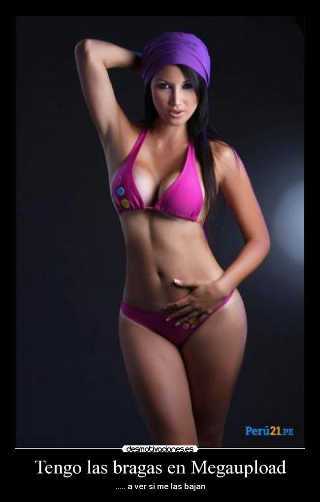 Tengo las bragas en Megaupload -