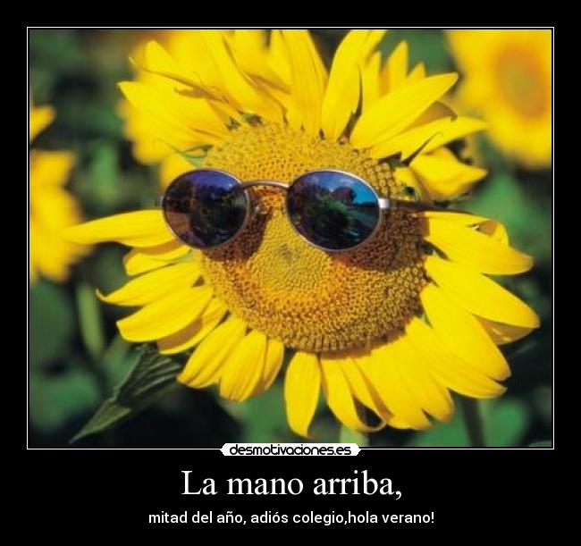 La mano arriba, - mitad del año, adiós colegio,hola verano!