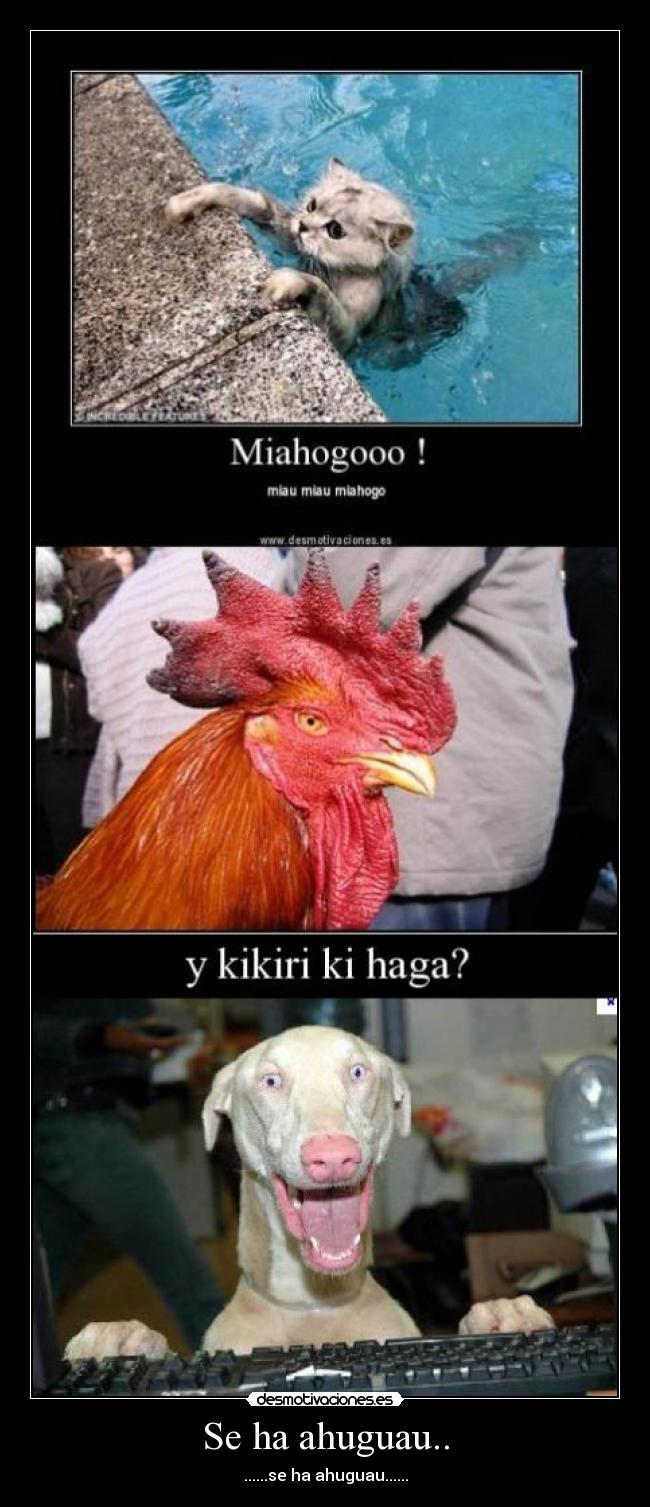 carteles javbellanato desmotivaciones