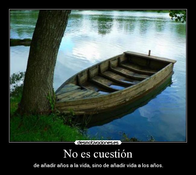 carteles dispot desmotivaciones