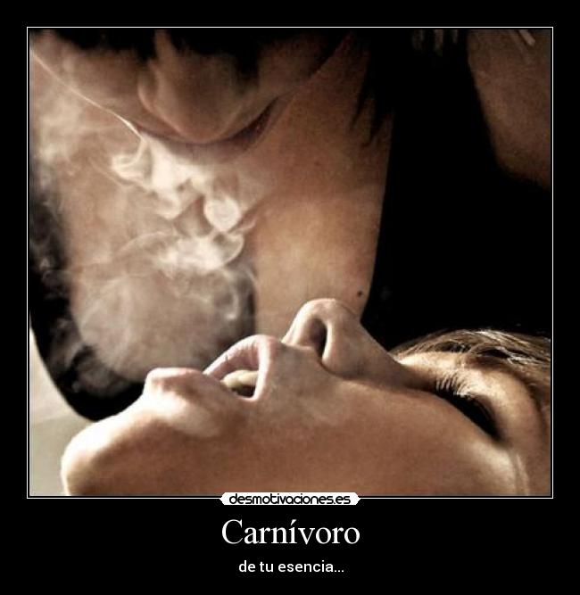 Carnívoro - 