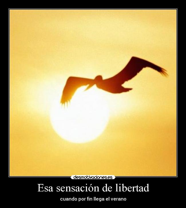 Esa sensación de libertad - cuando por fin llega el verano