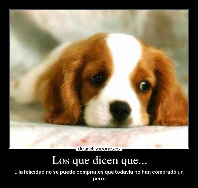 Los que dicen que... -