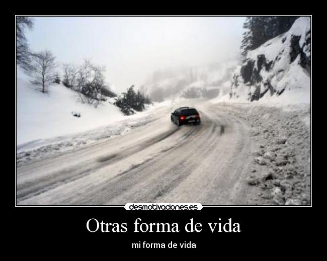carteles vida automovilismo golf r32 desmotivaciones