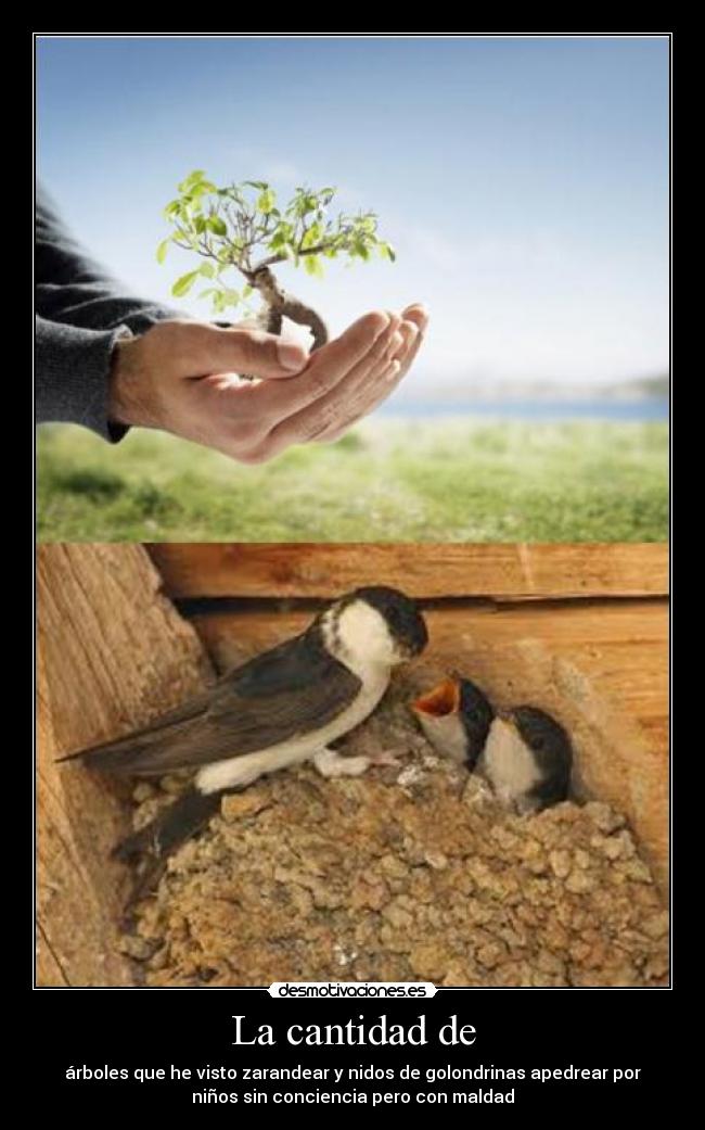 carteles golondrina arbol desmotivaciones