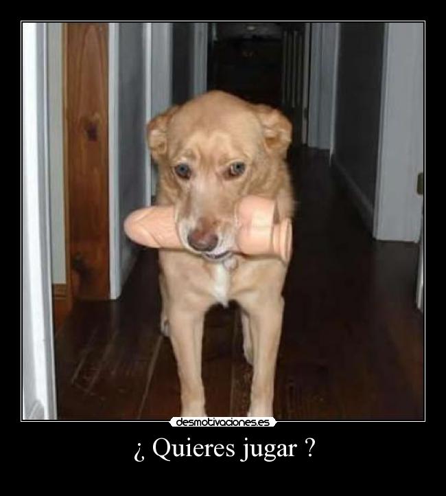 ¿ Quieres jugar ? -