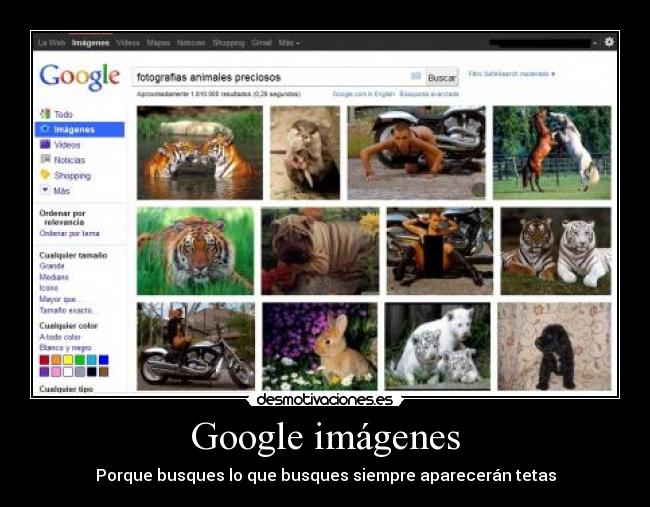 carteles google desmotivaciones