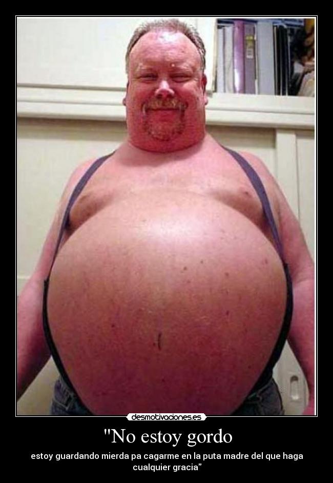 No estoy gordo - estoy guardando mierda pa cagarme en la puta madre del que haga cualquier gracia