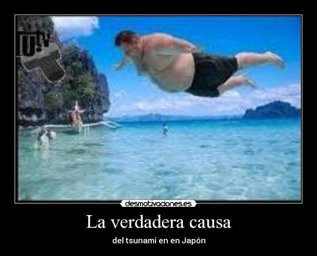 La verdadera causa -