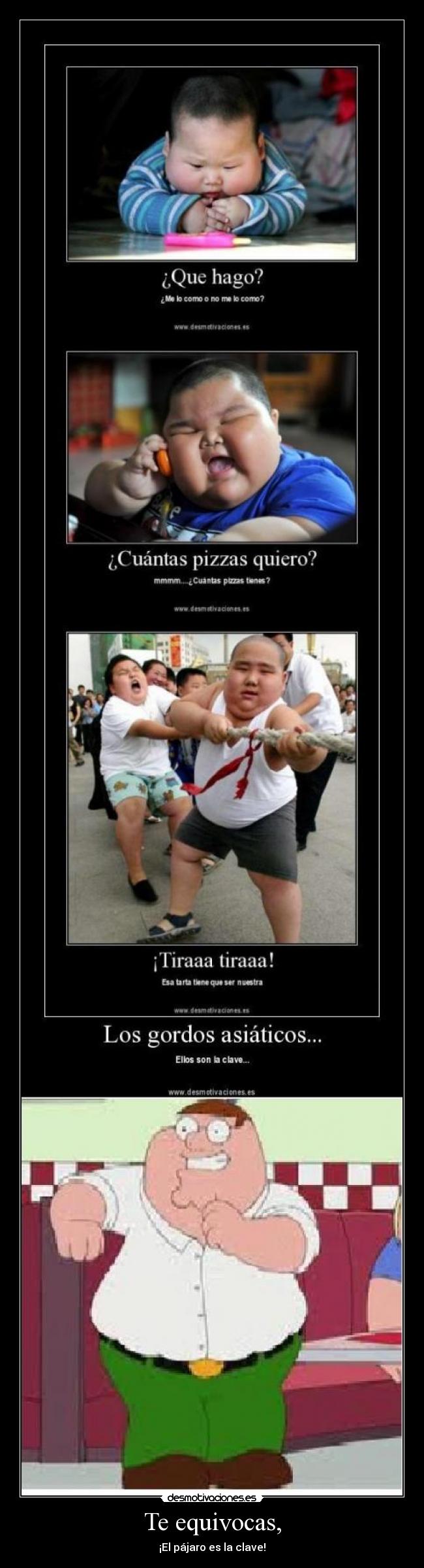 Te equivocas, - ¡El pájaro es la clave!