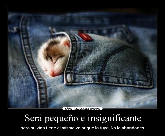 Será pequeño e insignificante - 