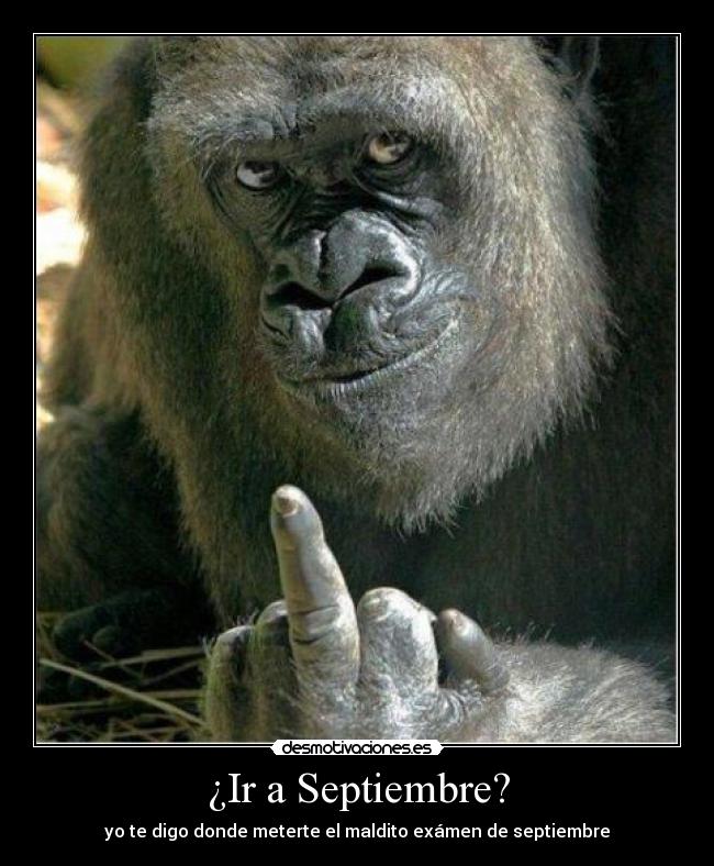 ¿Ir a Septiembre? -