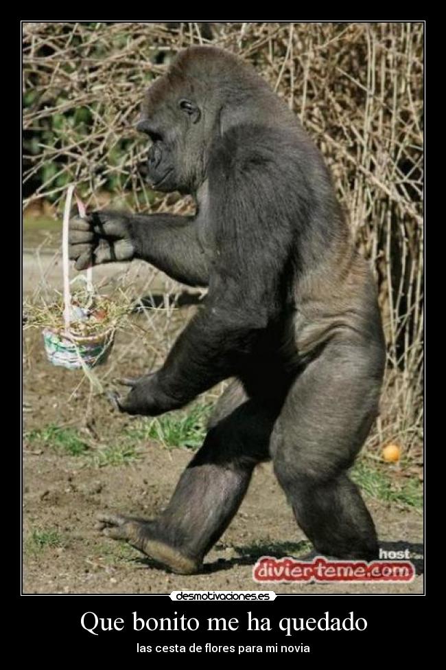 Que bonito me ha quedado - las cesta de flores para mi novia