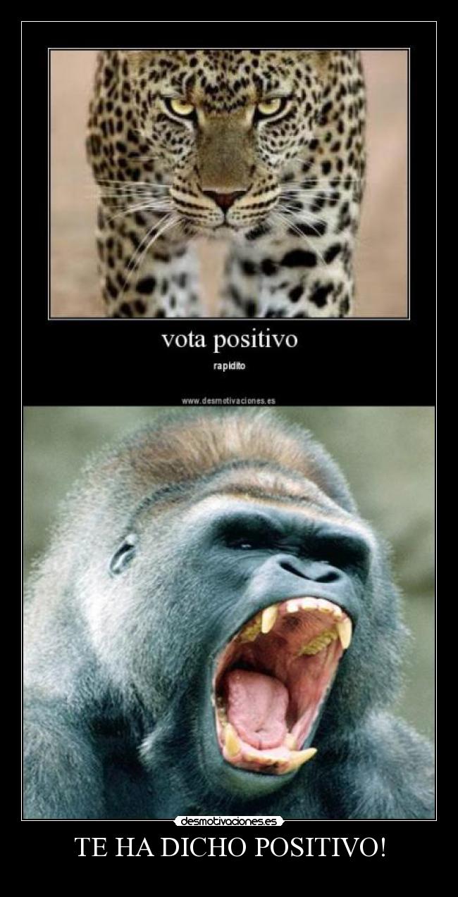 TE HA DICHO POSITIVO! - 