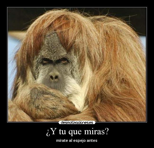 ¿Y tu que miras? - 