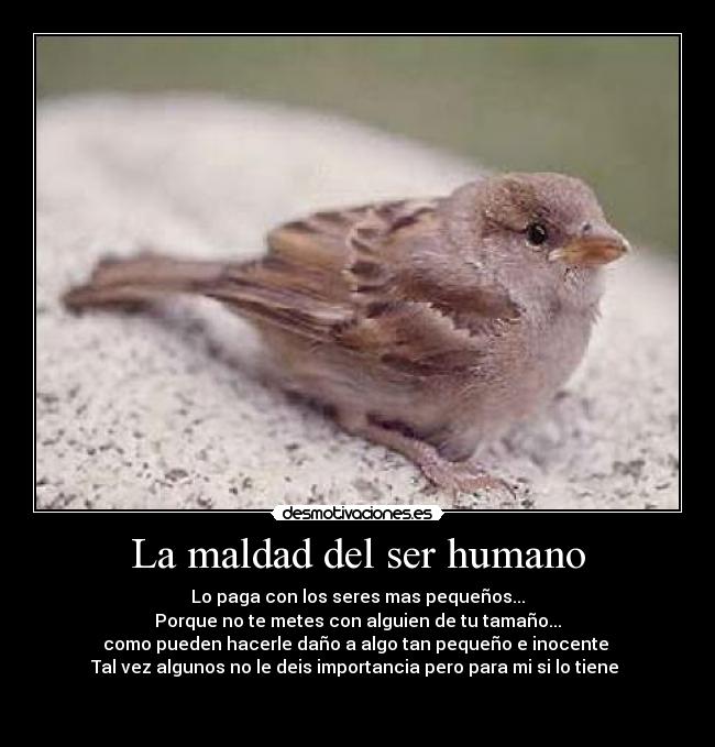 La maldad del ser humano -