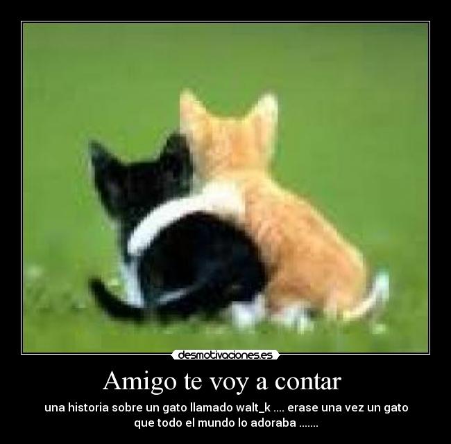 Amigo te voy a contar -