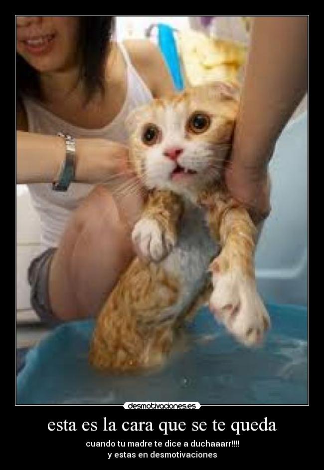 esta es la cara que se te queda -