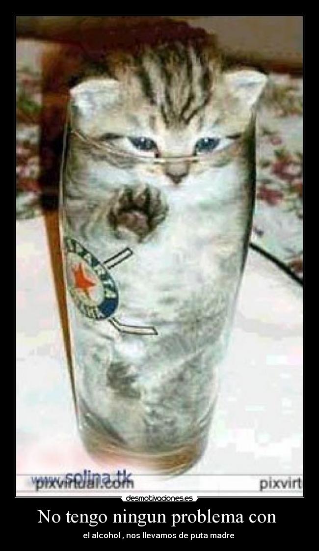 carteles bigdog desmotivaciones