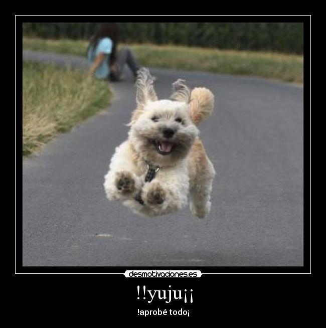 yuju”” desmotivaciones gracioso9_1 yuju”” desmotivaciones