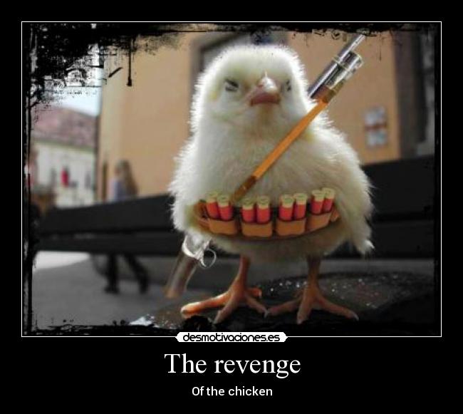 carteles roysk8 desmotivaciones