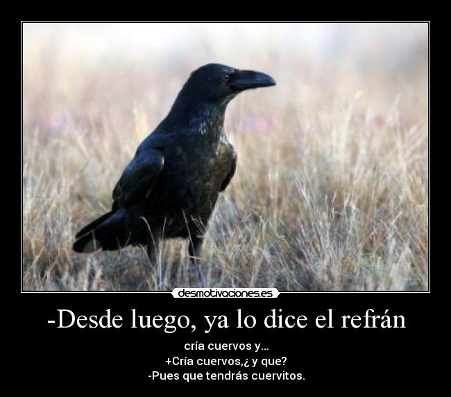 -Desde luego, ya lo dice el refrán - cría cuervos y...
+Cría cuervos,¿ y que?
-Pues que tendrás cuervitos.
