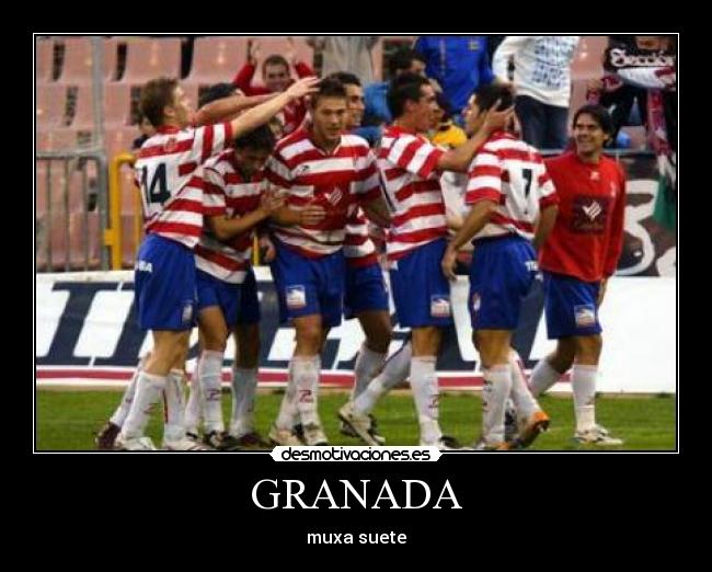 GRANADA - muxa suete