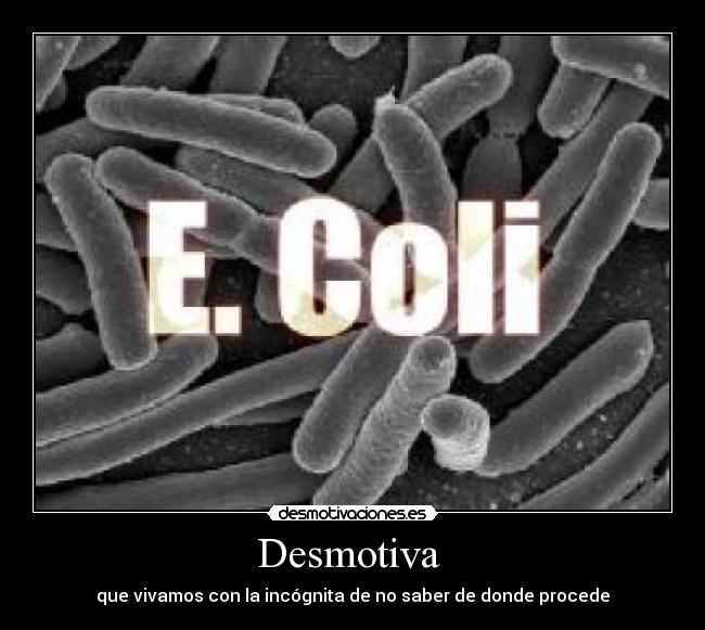 Desmotiva - que vivamos con la incógnita de no saber de donde procede