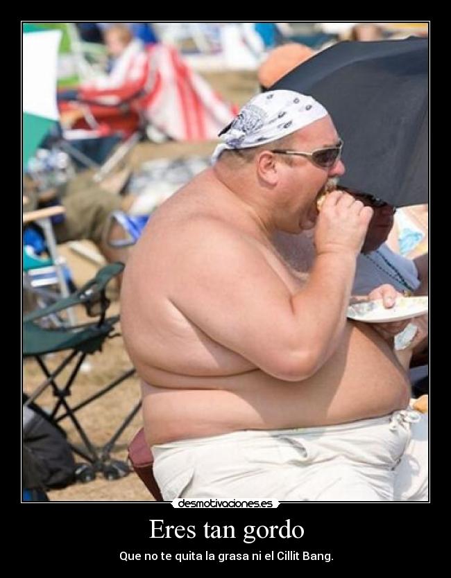 Eres tan gordo - Que no te quita la grasa ni el Cillit Bang.
