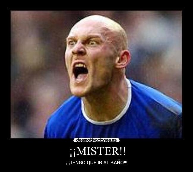 ¡¡MISTER!! -
