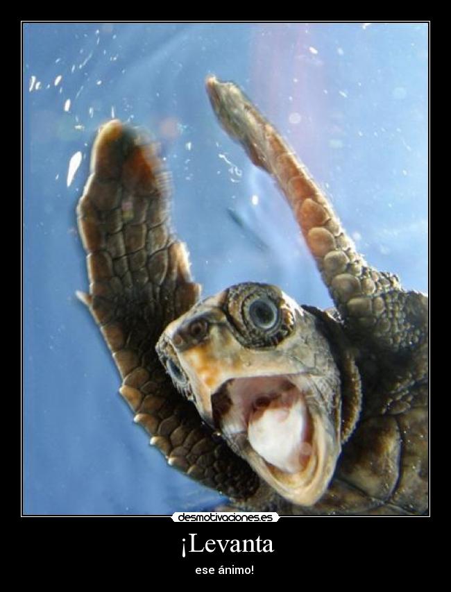 ¡Levanta - ese ánimo! 