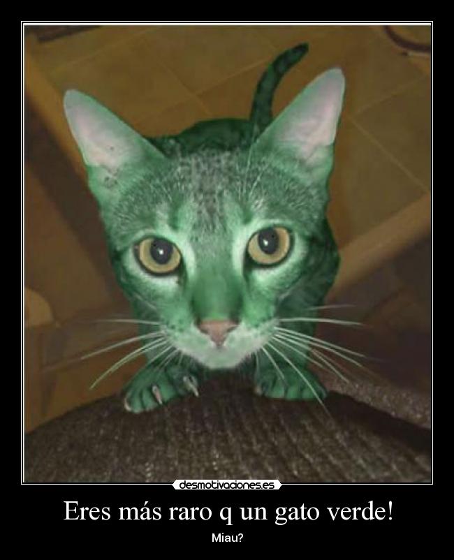 Eres más raro q un gato verde! - Miau?