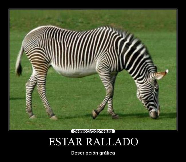 ESTAR RALLADO -