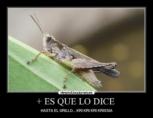 carteles dfgs desmotivaciones