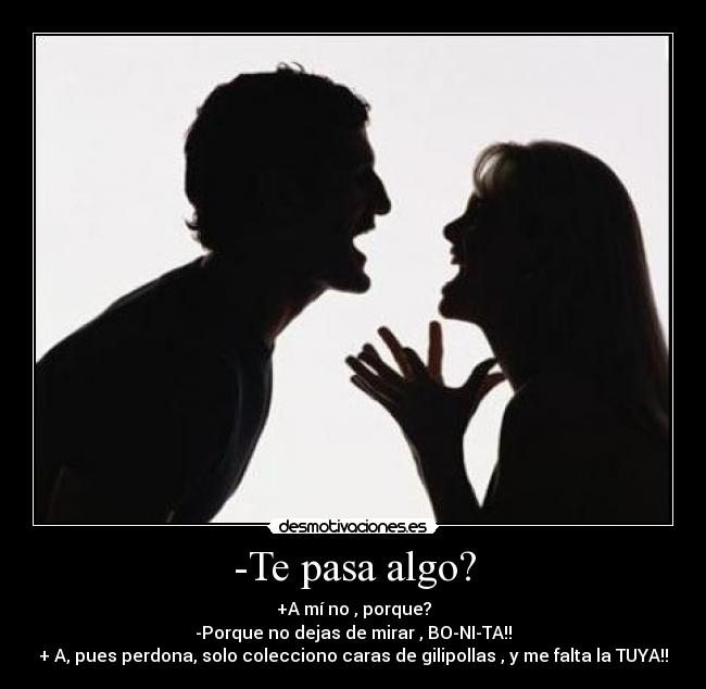 -Te pasa algo? - +A mí no , porque?
-Porque no dejas de mirar , BO-NI-TA!!
+ A, pues perdona, solo colecciono caras de gilipollas , y me falta la TUYA!!