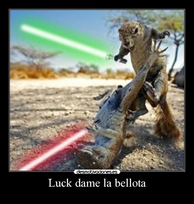 Luck dame la bellota -