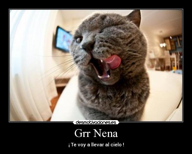 carteles gato desmotivaciones