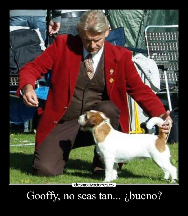 carteles gooffy desmotivaciones