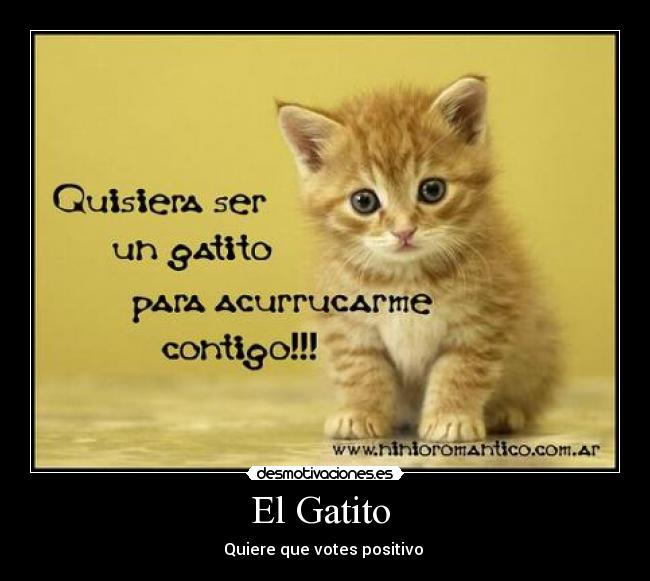 El Gatito -