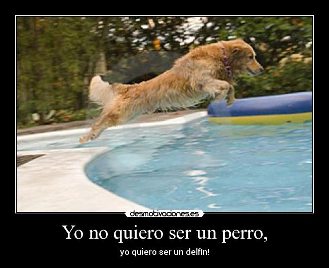 Yo no quiero ser un perro, - yo quiero ser un delfín!