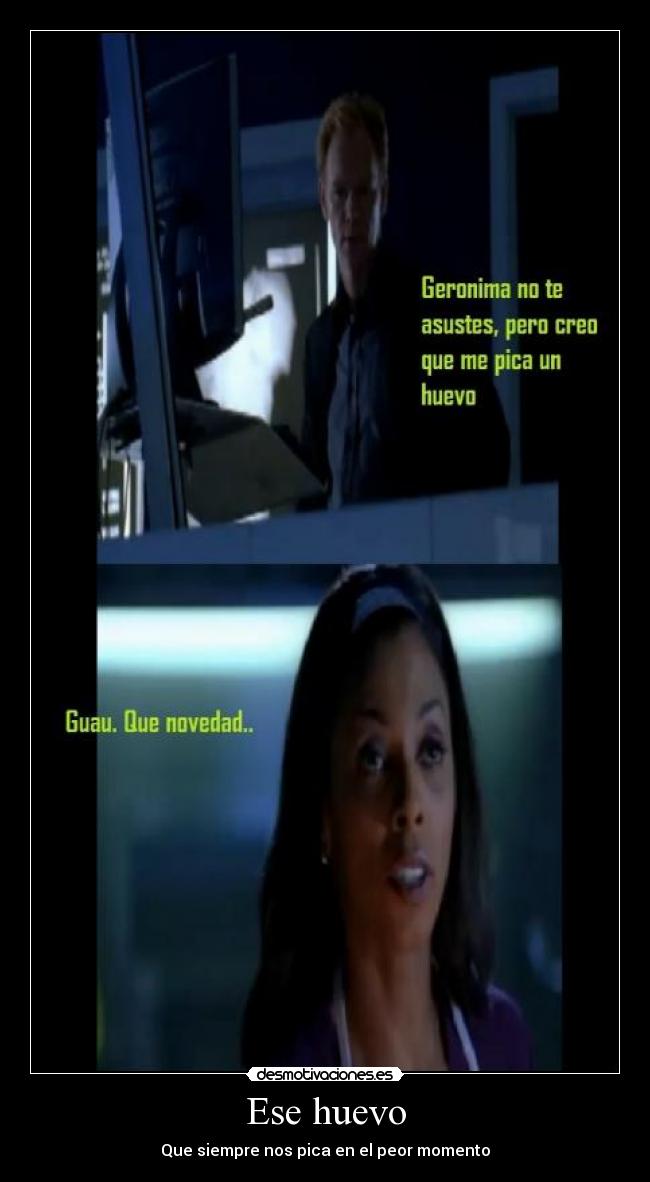 carteles huevo csi despenaperros desmotivaciones