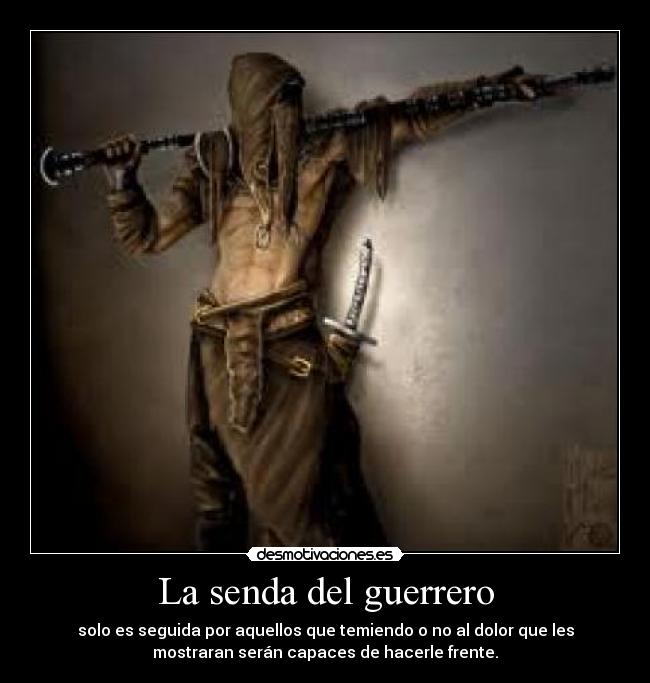carteles 141 desmotivaciones