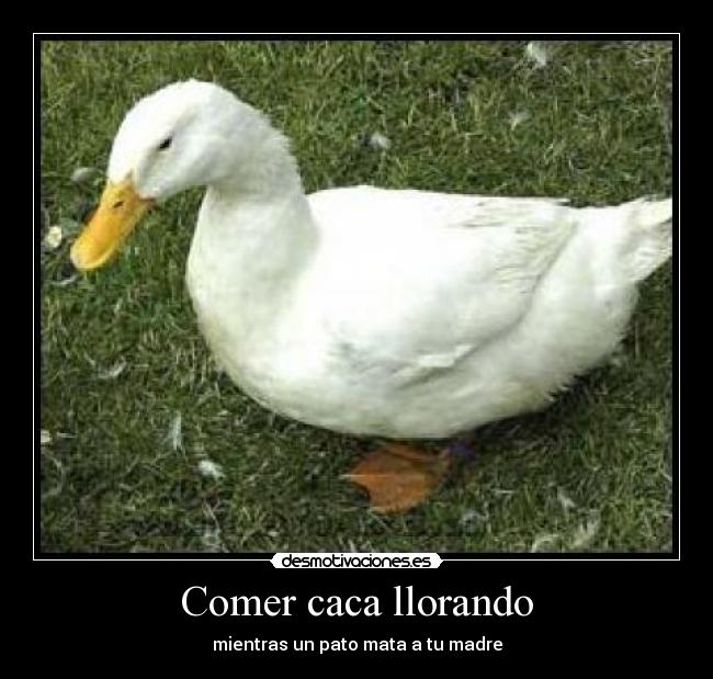 Comer caca llorando - 