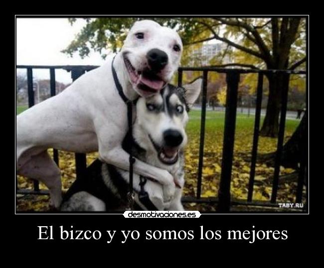 El bizco y yo somos los mejores - 