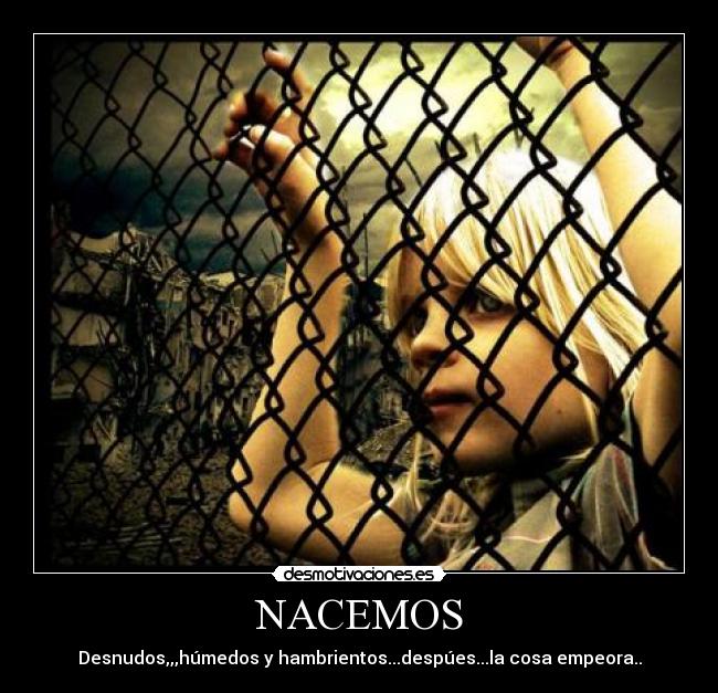 NACEMOS - 