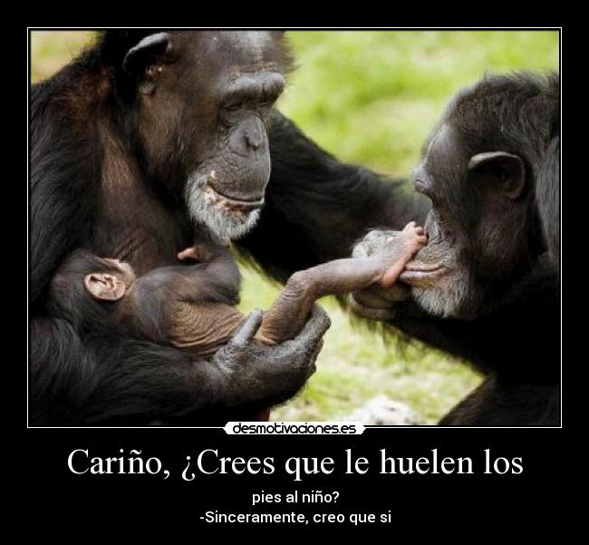 carteles siii desmotivaciones