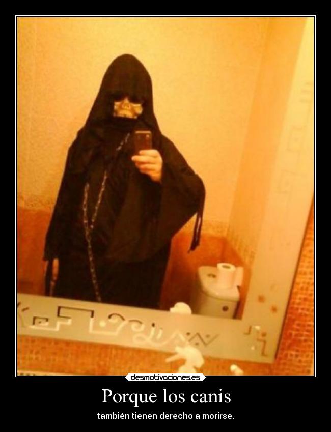 Porque los canis - 