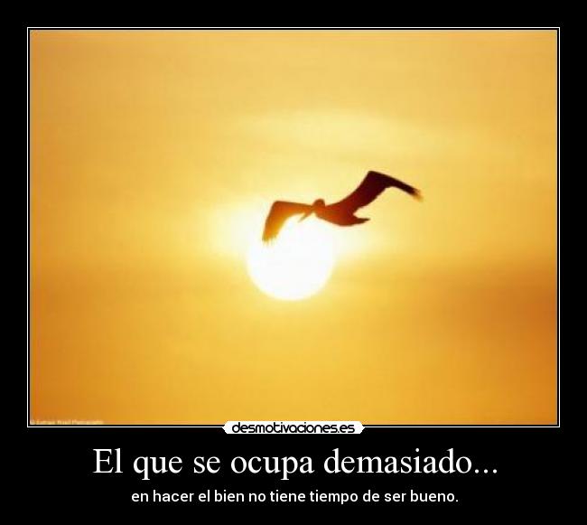 El que se ocupa demasiado... - 