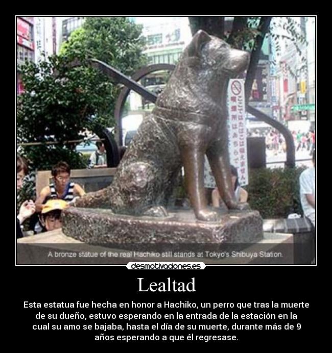 Lealtad - Esta estatua fue hecha en honor a Hachiko, un perro que tras la muerte
de su dueño, estuvo esperando en la entrada de la estación en la
cual su amo se bajaba, hasta el día de su muerte, durante más de 9
años esperando a que él regresase.